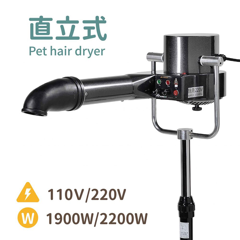 DC 直流吹風機 (直立式)